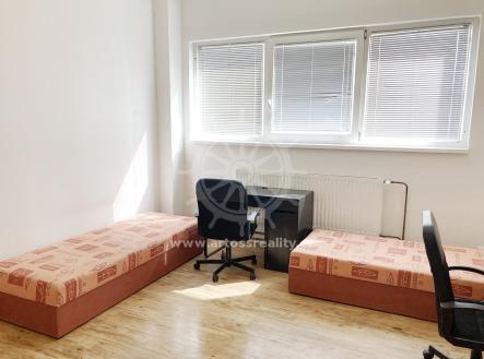 Pronájem bytu, 1+kk, 17 m²