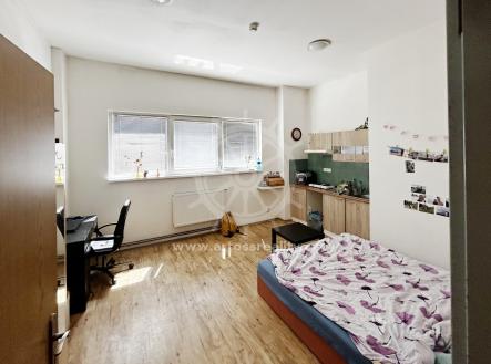 Pronájem bytu, 1+kk, 65 m²