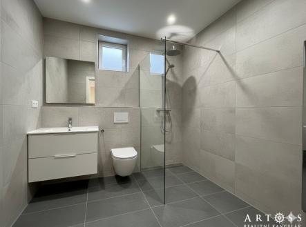 Koupelna po rekonstrukci (vize)