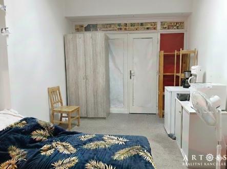 Pronájem bytu, 1+kk, 15 m²