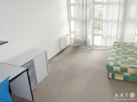 Pronájem bytu, 1+kk, 15 m²