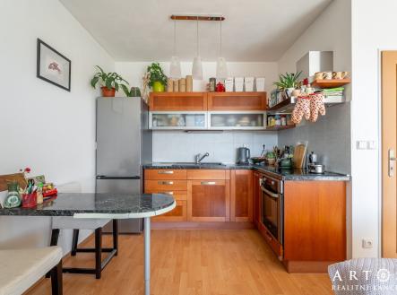 Pronájem bytu, 1+kk, 47 m²