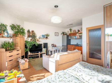 Pronájem bytu, 1+kk, 47 m²