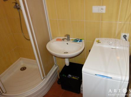 Pronájem bytu, 1+kk, 15 m²