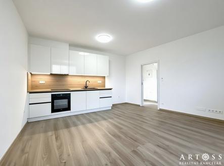 Pronájem bytu, 2+kk, 55 m²