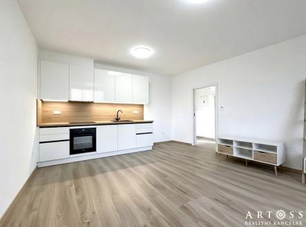 Pronájem bytu, 2+kk, 55 m²