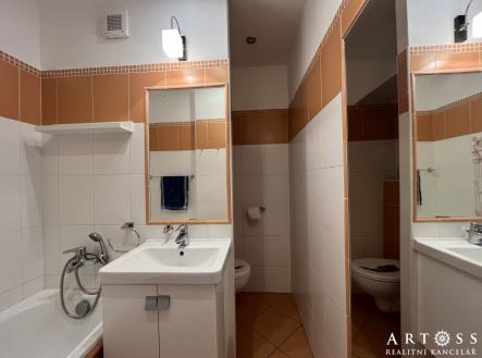 Pronájem bytu, 1+1, 36 m²