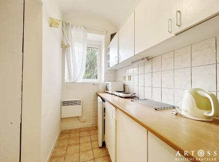 Pronájem bytu, 1+kk, 25 m²