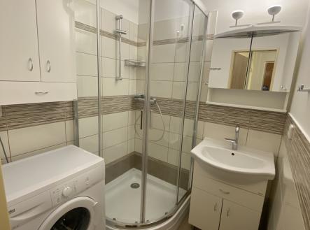 Pronájem bytu, 1+1, 42 m²