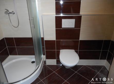 Pronájem bytu, 1+kk, 40 m²