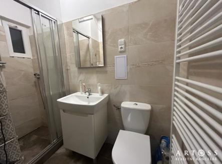 Pronájem bytu, 2+kk, 42 m²