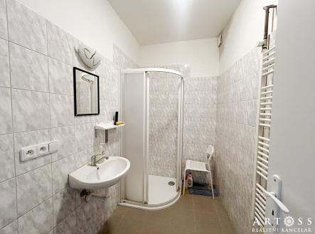 Pronájem bytu, 1+kk, 22 m²