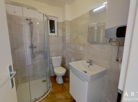 Pronájem bytu, 1+kk, 22 m²