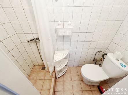 Pronájem bytu, 1+kk, 25 m²