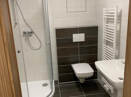 Pronájem bytu, 1+1, 33 m²