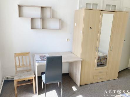 Pronájem bytu, 1+kk, 16 m²