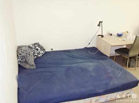 Pronájem bytu, 1+kk, 16 m²