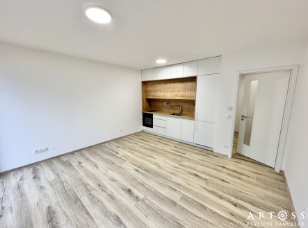 Pronájem bytu, 1+kk, 29 m²