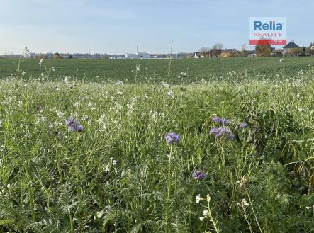 Prodej - pozemek pro bydlení, 1 000 m²