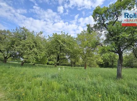 Pronájem - pozemek, ostatní, 2 532 m²