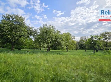 Pronájem - pozemek, ostatní, 2 532 m²