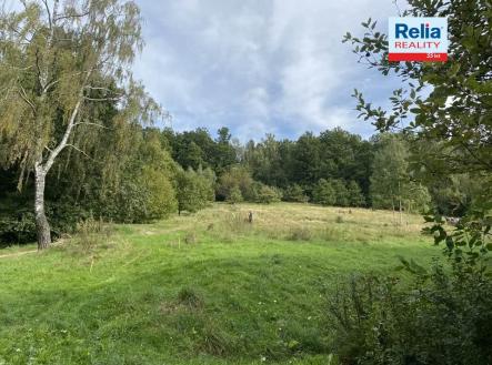 N50777_okolí domu_6