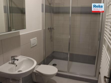 Pronájem bytu, 1+1, 43 m²