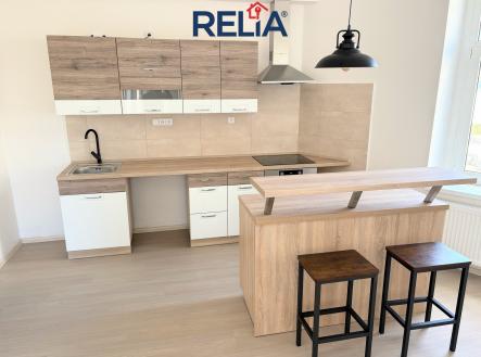 Pronájem bytu, 1+kk, 47 m²