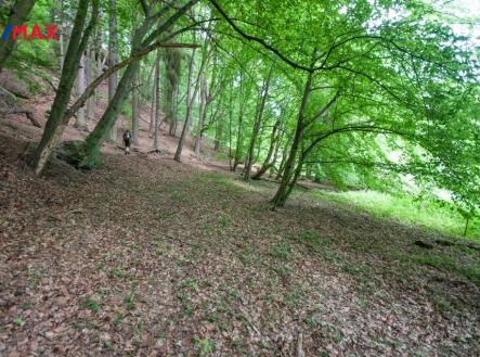 Prodej pozemku, les, 13 685 m²