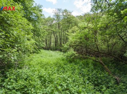 Prodej pozemku, les, 13 685 m²