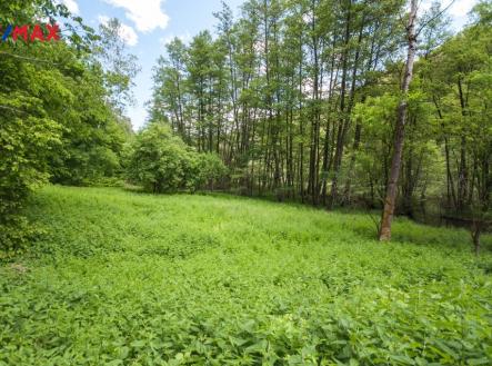 Prodej pozemku, les, 13 685 m²