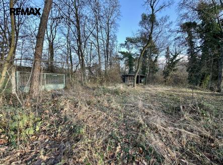 Prodej pozemku pro bydlení, 1 982 m²