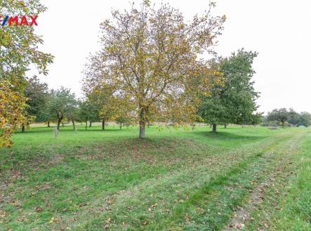 Prodej pozemku, ostatní, 6 588 m²