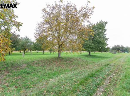 Prodej pozemku, ostatní, 6 588 m²