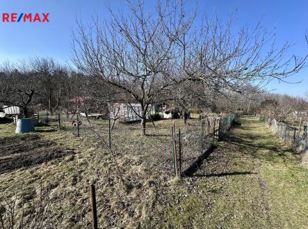 Prodej pozemku, zahrada, 319 m²