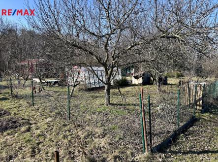 Prodej pozemku, zahrada, 319 m²