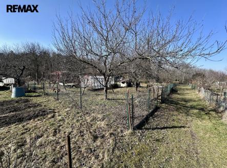 Prodej pozemku, zahrada, 319 m²