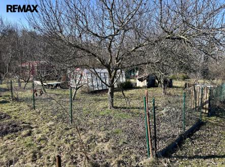 Prodej pozemku, zahrada, 319 m²