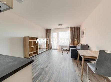 Pronájem bytu, 1+kk, 39 m²