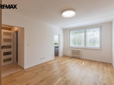 Pronájem bytu, 1+kk, 28 m²