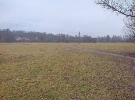 Prodej pozemku, trvalý travní porost, 6 926 m²