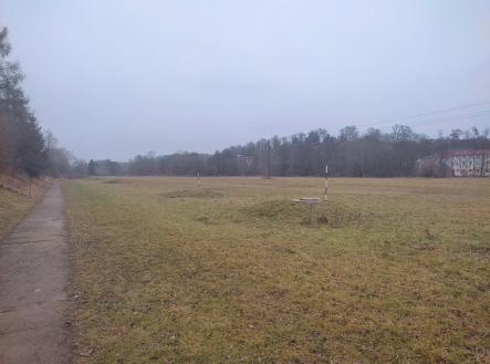 Prodej pozemku, trvalý travní porost, 6 926 m²