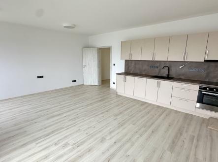 Pronájem bytu, 1+kk, 49 m²