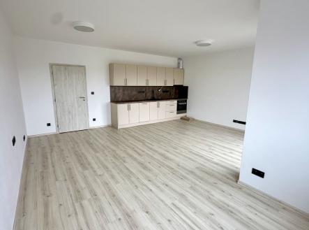 Pronájem bytu, 1+kk, 49 m²