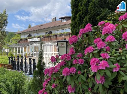 Prodej penzion, 2 500 m²