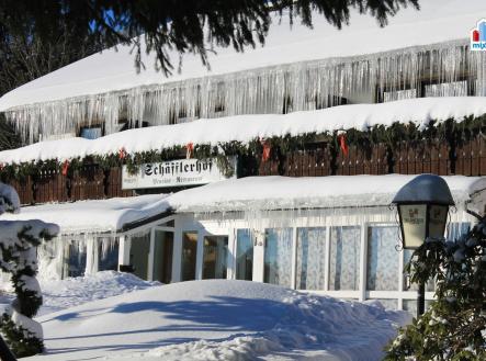 Prodej penzion, 2 500 m²