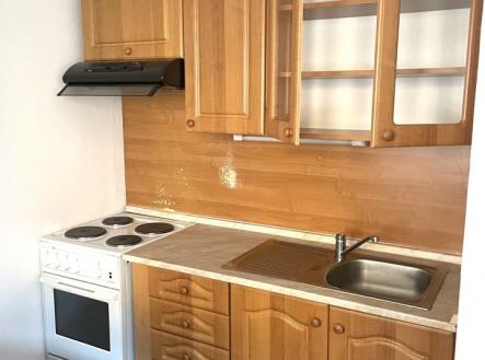 Pronájem bytu, 1+1, 43 m²