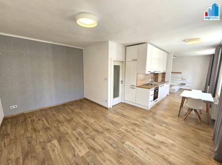 Pronájem bytu, 1+kk, 53 m²