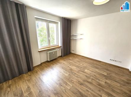 Pronájem bytu, 1+kk, 53 m²