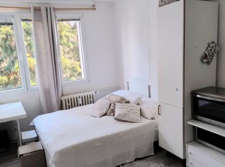 Pronájem bytu, 1+kk, 20 m²